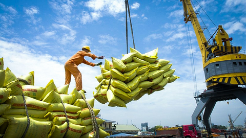Bộ Công Thương lấy ý kiến dự thảo nghị định thay thế các nghị định về xuất khẩu gạo