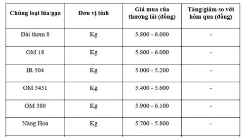 Giá lúa gạo hôm nay ngày 6/10: Gạo bình ổn, lúa tươi vững giá