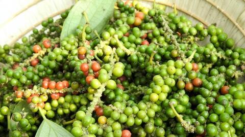 Bản tin nông sản hôm nay (29-10): Giá cà phê giảm mạnh