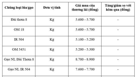 Giá lúa gạo hôm nay ngày 24/11: Thị trường lặng sóng