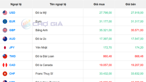 Tỷ giá USD ngày 25/11: Tăng nhẹ trên thị trường tự do