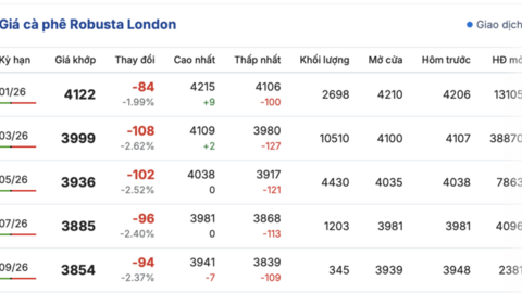 Giá cà phê hôm nay 15/12/2025: Đi ngang, duy trì mức thấp