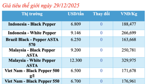 Giá tiêu hôm nay 29/12/2025: Cao nhất 151.000 đồng/kg