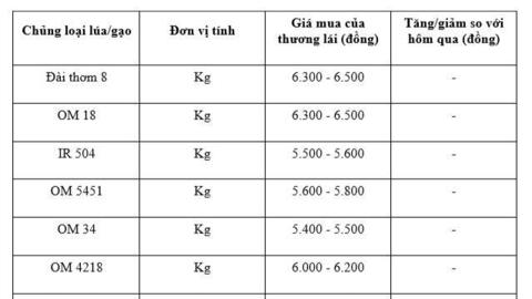 Giá lúa gạo hôm nay ngày 19/1/2026: Gạo xuất khẩu tăng