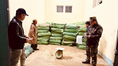 Hải quan liên tiếp xử lý các vụ vận chuyển thực phẩm bẩn, thuốc lá lậu