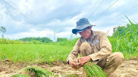 Quảng Ngãi: Thủ phủ kiệu Long Yên thắng lớn vụ Tết
