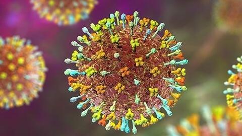 Bộ Y tế yêu cầu bảo đảm an toàn thực phẩm trong phòng, chống bệnh do virus Nipah