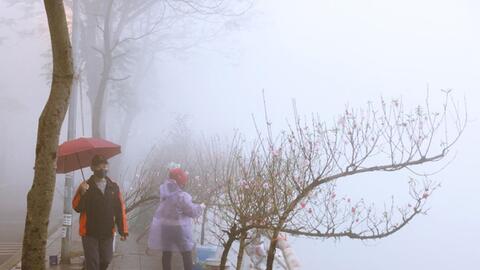 Thời tiết hôm nay (5-2): Bắc Bộ có sương mù, đêm và sáng trời rét