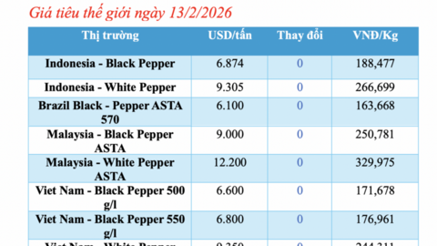 Giá tiêu hôm nay 13/2/2026: Giảm nhẹ vài nơi