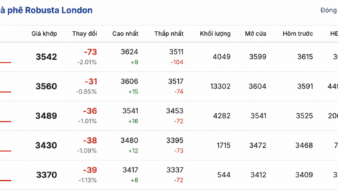 Giá cà phê hôm nay 24/2/2026: Đi ngang