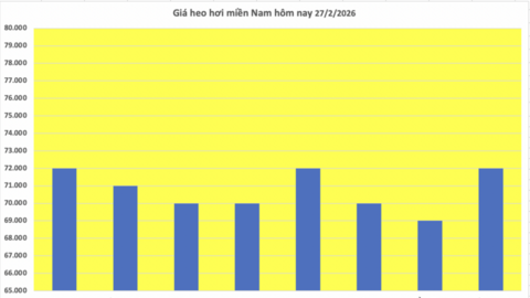 Giá heo hơi hôm nay 27/2/2026: Giảm rải rác