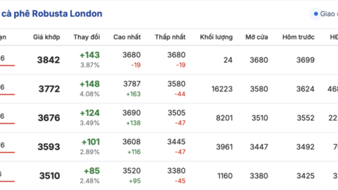 Giá cà phê hôm nay 3/3/2026: Giảm nhẹ