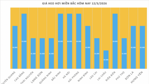 Giá heo hơi hôm nay 12/3/2026: Biến động trái chiều