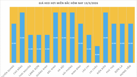 Giá heo hơi hôm nay 13/3/2026: Biến động trái chiều
