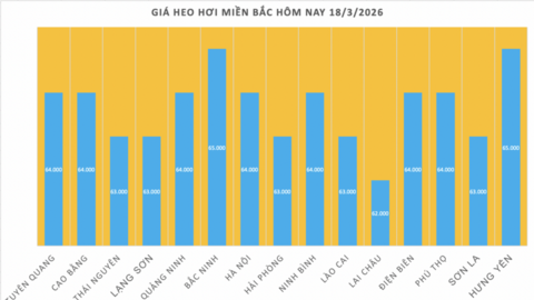 Giá heo hơi hôm nay 18/3/2026: Tăng diện rộng trên cả 3 miền