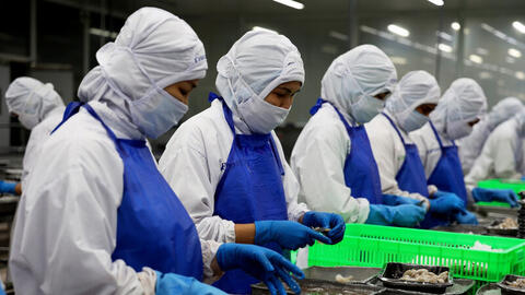 EU siết tiêu chuẩn bao bì: Doanh nghiệp đối mặt áp lực chuyển đổi