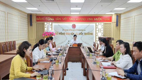 Hoàn thành phỏng vấn sâu DCCI Sơn La 2025