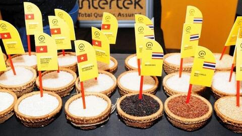 Thương mại Việt Nam - Anh vượt 9,38 tỷ USD, FTA tạo lực đẩy kép