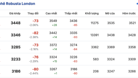 Giá cà phê hôm nay 4/4/2026: Giảm 800 - 1.000 đồng/kg