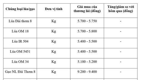 Giá lúa gạo hôm nay ngày 4/4: Gạo xuất khẩu tăng mạnh