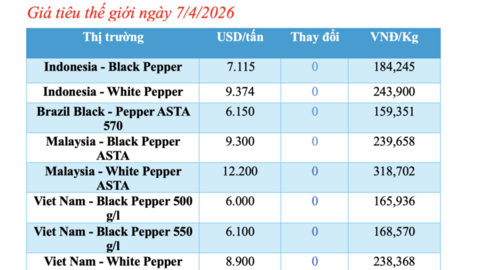 Giá tiêu hôm nay 7/4/2026: Duy trì ổn định