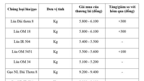 Giá lúa gạo hôm nay ngày 8/4: Lúa tươi tăng giá