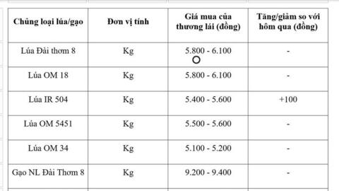 Giá lúa gạo hôm nay ngày 9/4: Lúa tươi tiếp đà tăng nhẹ