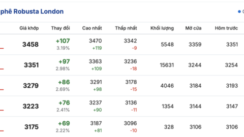 Giá cà phê hôm nay 15/4/2026: Tăng nhẹ 500 đồng