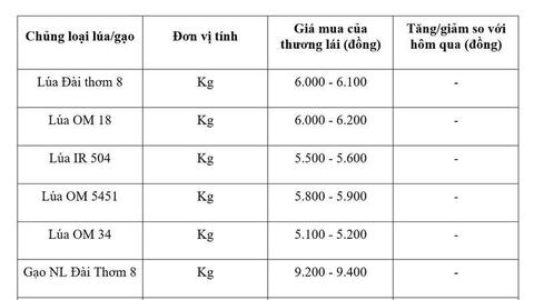 Giá lúa gạo hôm nay ngày 18/4: Gạo xuất khẩu tiếp đà tăng mạnh