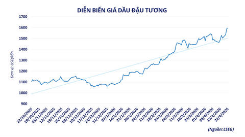 Giá dầu đậu tương tăng vọt