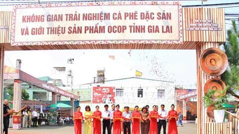 Gia Lai khai mạc không gian trải nghiệm cà phê đặc sản, sản phẩm OCOP