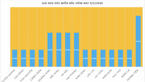 Giá heo hơi hôm nay 4/5/2026: Chạm mốc 70.000 đồng/kg