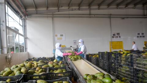 Nông sản Việt cần làm gì để xuất khẩu vào thị trường Halal?