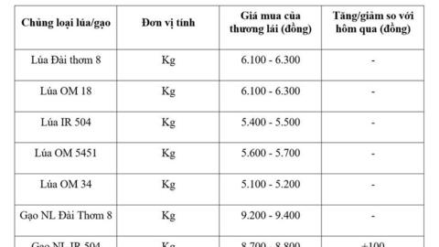 Giá lúa gạo hôm nay ngày 7/5: Gạo nguyên liệu xuất khẩu diễn biến trái chiều