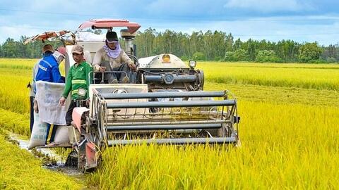 Sản xuất nông nghiệp phục hồi, nuôi trồng thủy sản tiếp tục khởi sắc
