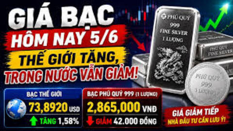 Giá bạc hôm nay 5/6/2026: Bạc trong nước suy giảm
