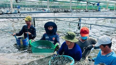 Công nghiệp, thương mại Cà Mau khởi sắc trong nửa đầu năm 2026
