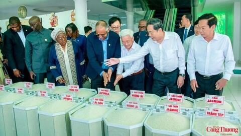 Việt Nam - Bờ Biển Ngà mở rộng kết nối, nâng cơ hội xuất khẩu