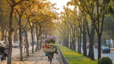 Thời tiết hôm nay (22-10): Bắc Bộ ngày nắng, Nam Bộ chiều tối có mưa dông