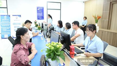 Xây dựng phương án biên chế giai đoạn 2027-2031 theo từng năm, có cơ sở dự báo
