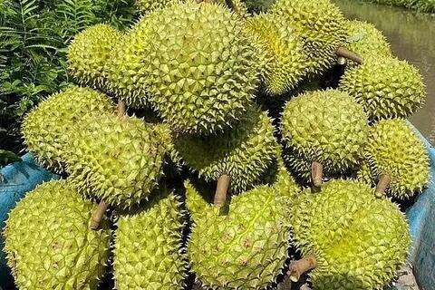 <a href="/cau-chuyen-kinh-doanh" title="Câu chuyện kinh doanh" rel="dofollow">Câu chuyện kinh doanh</a>