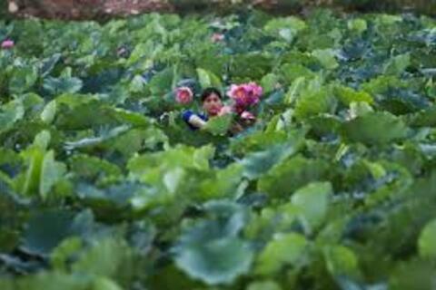 <a href="/cau-chuyen-kinh-doanh" title="Câu chuyện kinh doanh" rel="dofollow">Câu chuyện kinh doanh</a>