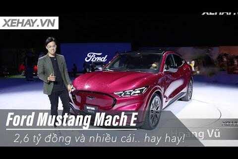 <a href="/video" title="Video" rel="dofollow">Truyền thông số Brandx</a>