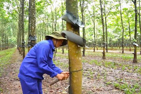 <a href="/thuong-hieu" title="Thương hiệu" rel="dofollow">Thương hiệu</a>