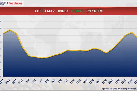 Giá ngô quay đầu giảm 0,85% xuống 159,8 USD/tấn