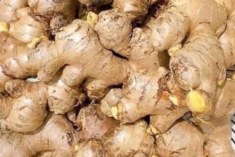 Nước gừng có thực sự giúp giảm buồn nôn
