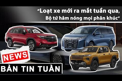 <a href="/video" title="Video" rel="dofollow">Truyền thông số Brandx</a>
