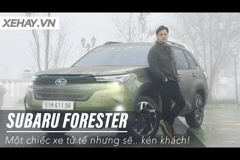 <a href="/video" title="Video" rel="dofollow">Truyền thông số Brandx</a>