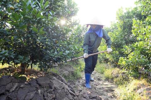 <a href="/cau-chuyen-kinh-doanh" title="Câu chuyện kinh doanh" rel="dofollow">Câu chuyện kinh doanh</a>