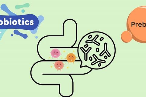 Phân biệt probiotic và prebiotic, loại nào tốt cho sức khỏe hơn